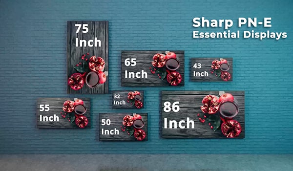 Sharp PN-E Essential Displays Video