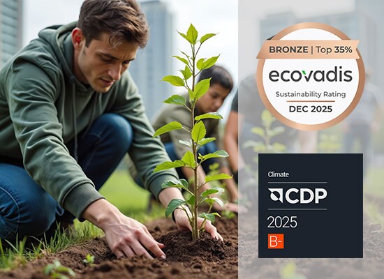 Our Sustainability Strategy