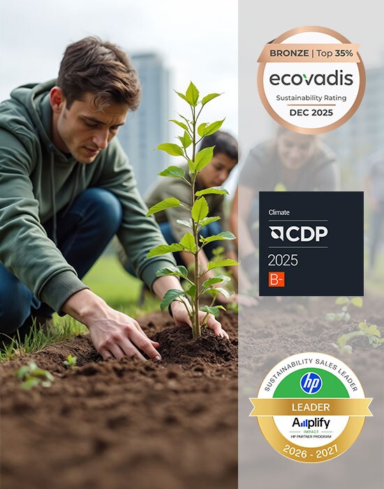 Our Sustainability Strategy