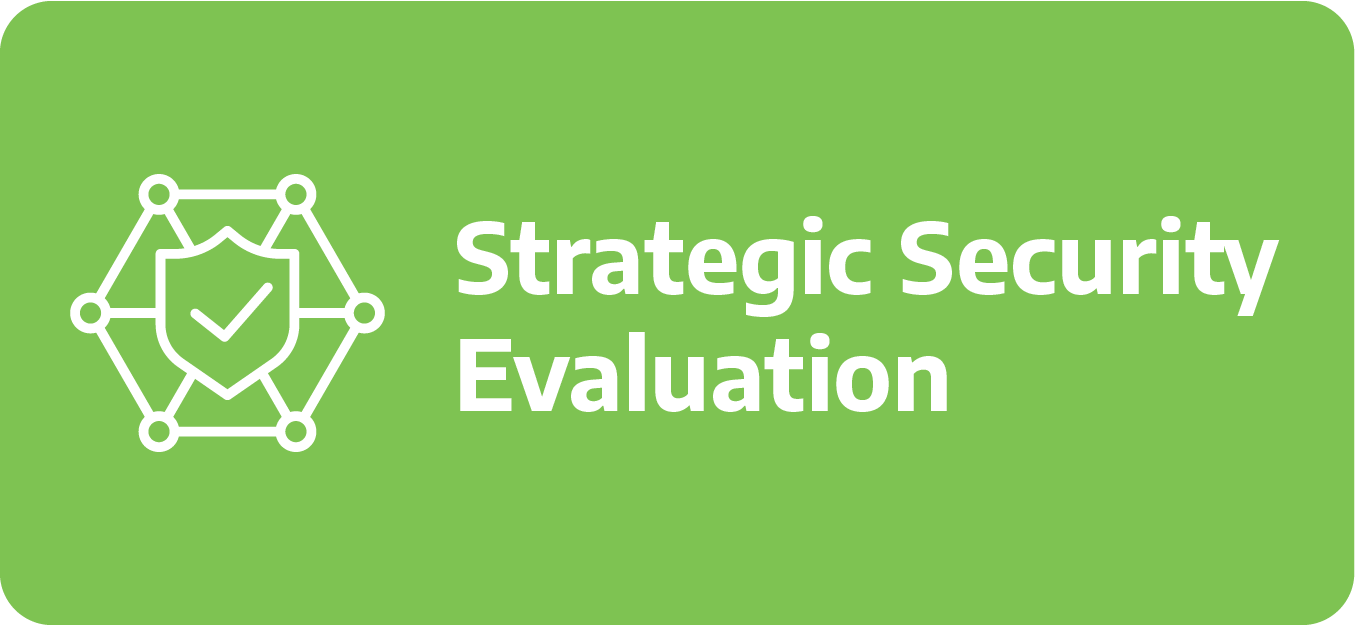 Strategic Security Evaluation